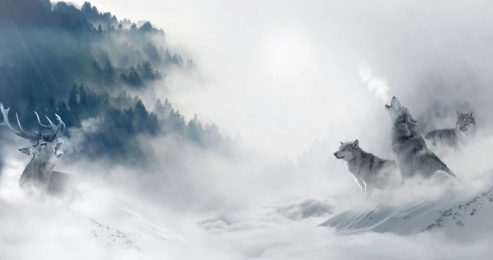 illustration two dire wolves in artic environment forest wolf 2k 4k