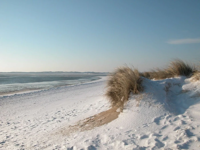 beach germany norddeutschand north sea sun sylt winter 2k
