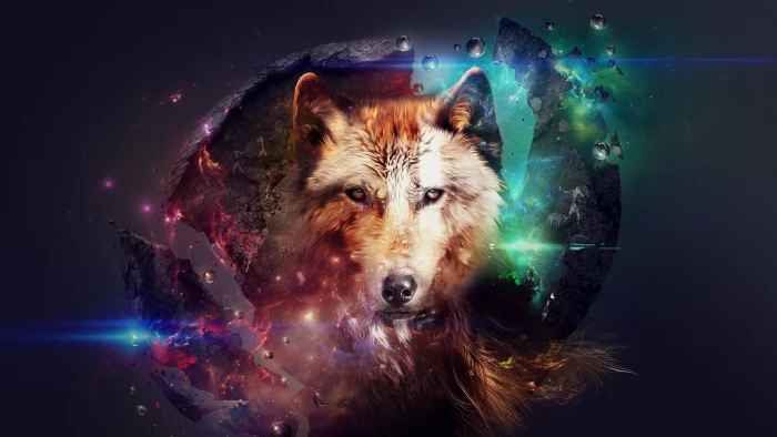 brown and black wolf digital wallpaper artwork planet space 2k
