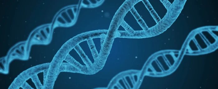 DNA Microscope Artistic Pattern Pair Evolution Discovery 2k