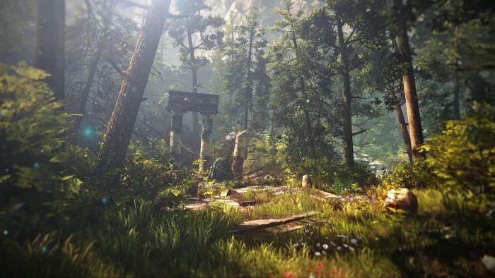 forest nature The Witcher 2 Assassins Of Kings tree plant 2k