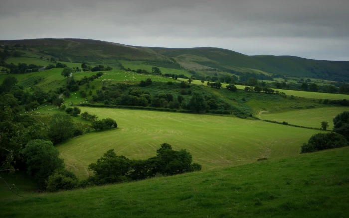 full screen nature desktop hdmi 2k