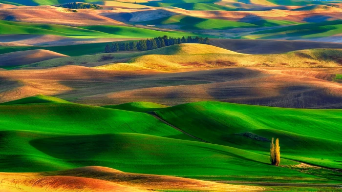 grassland nature palouse green field hill sky butte 2k