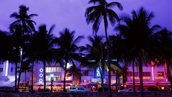 hotel beach palm trees neon evening 2k