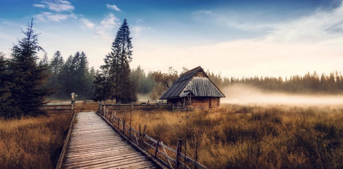 house near trees nature landscape cabin mist fall forest 2k