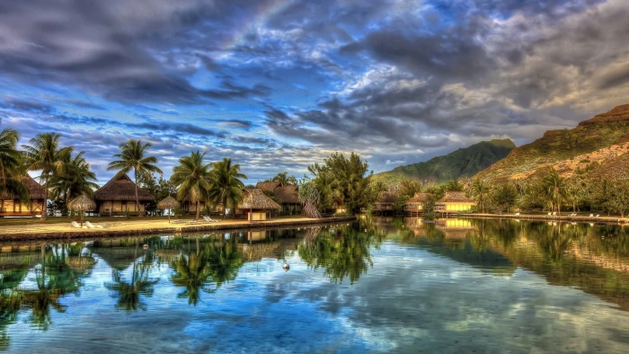 nature water shore lake landscape lakeside tree trees 2k