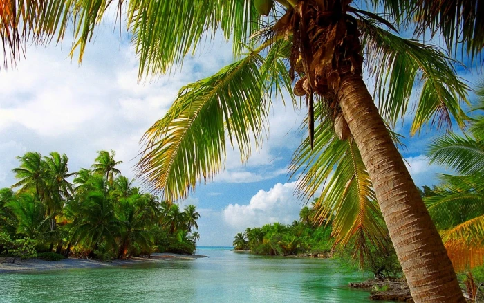 rippling body of water surrounded with island beach tropical 2k