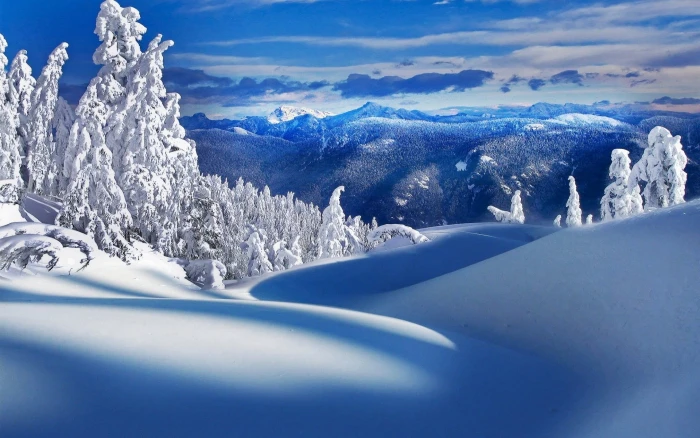 snow covered land and trees winter nature mountains cold temperature 2k