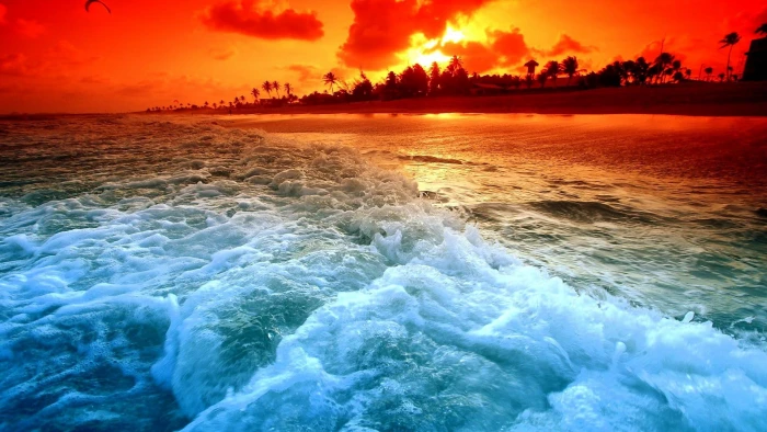 Wild Ocean beach palms sunset and abstract 2k