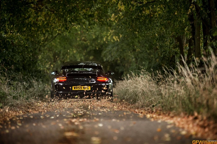 black car Porsche fall cars road vehicle leaves forest 2k