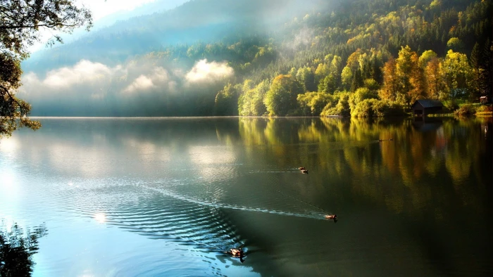 download nature background images water reflection 2k