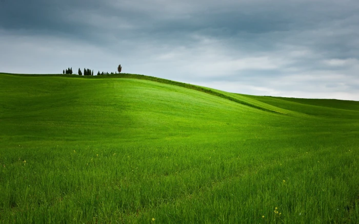full hd nature backgrounds cloud sky grass green color 2k