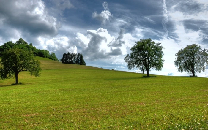 cool pics of nature hd background 2k