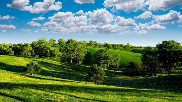 Green valley nature scenery blue sky white clouds trees grasslands sun 2k