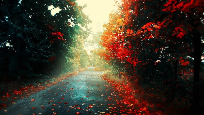 nature star light design wallpaper color art grunge 2k