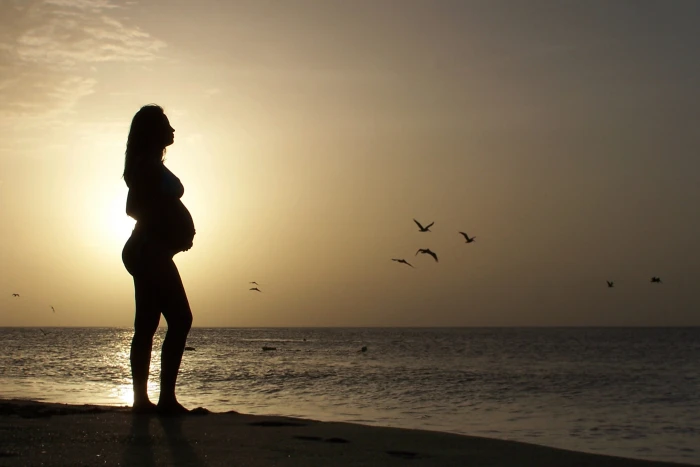 silhouette of pregnant woman standing on shoreline during golden hour 2k 4k