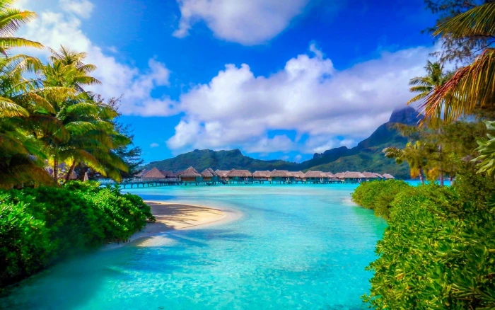 bora french polynesia nature landscape beach sea palm trees island resort summer tropical mountain 2k