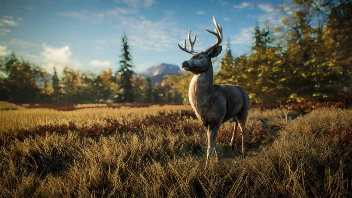 Video Game The Hunter Call of Wild Nature TheHunter 2k