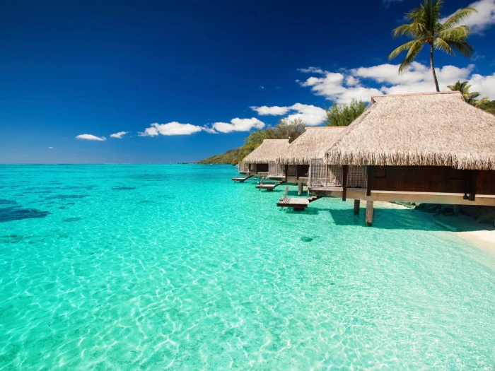 brown and white concrete house beach sea water thatched roof 2k