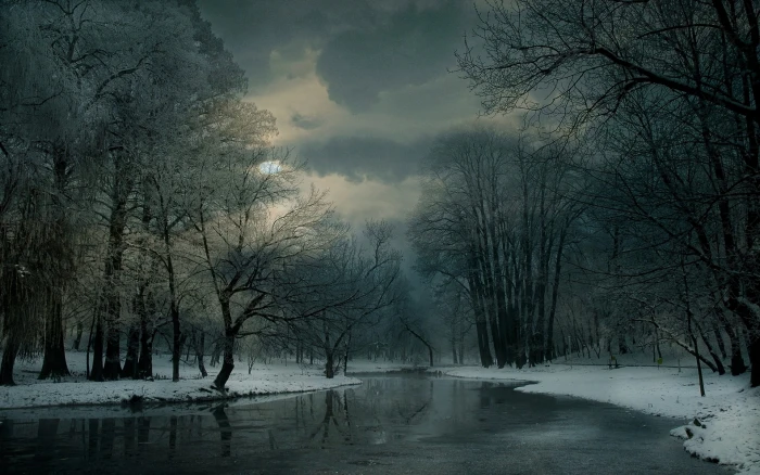 field of bare trees and body water landscape nature winter 2k