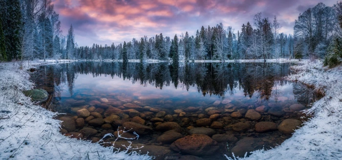 calm lake nature landscape winter forest snow morning trees 2k