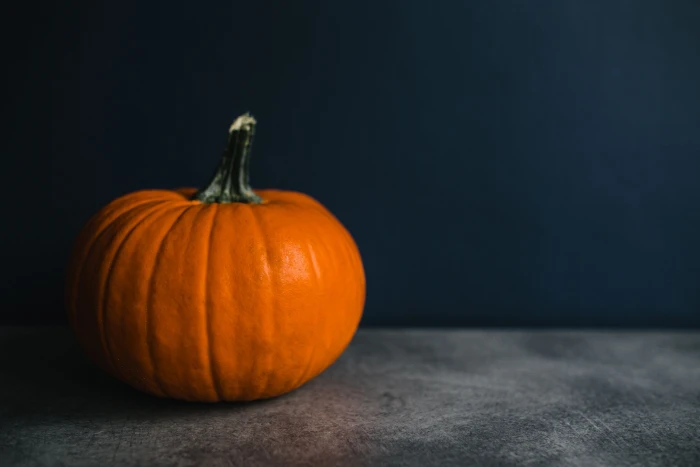 Autumn Pumpkin fall halloween thanksgiving orange Color vegetable 2k 4k