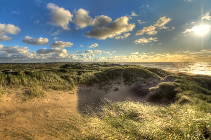 green covered mountain denmark sand dune north sea 2k