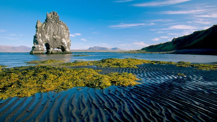 Iceland Nature Sea Coast Beach Indication Greener Grass Ultra Hd Wallpapers 2k