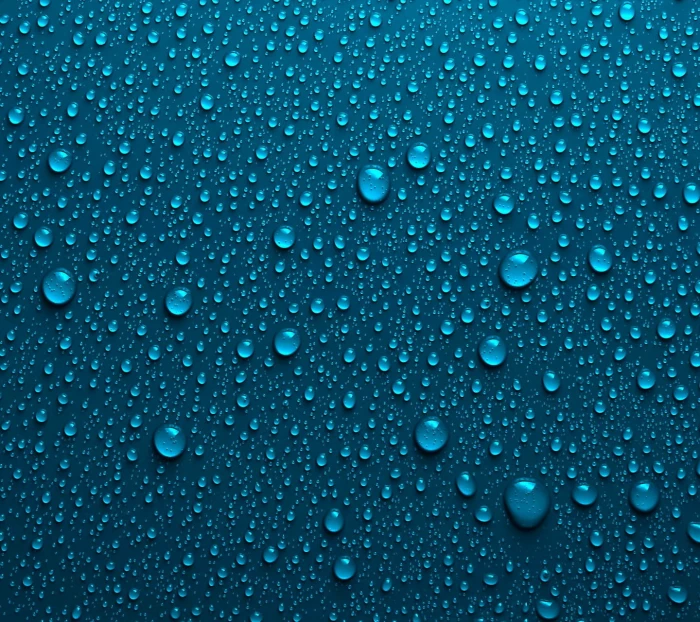 water bubbles nature backgrounds wet drop no people full frame