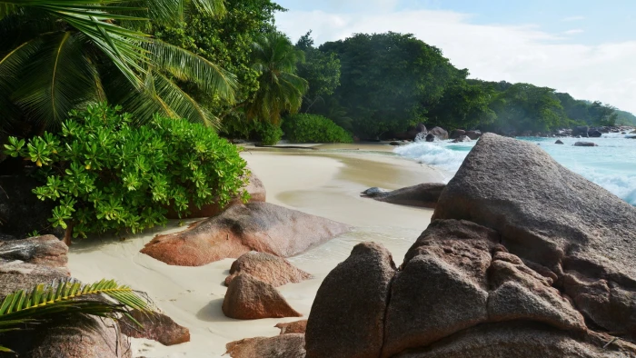 Tropics sea beach gray rock waves rocks palmist Nature s 2k