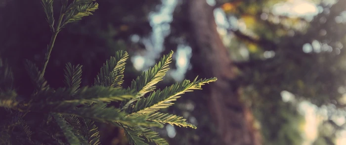 ultrawide landscape nature photography 2k