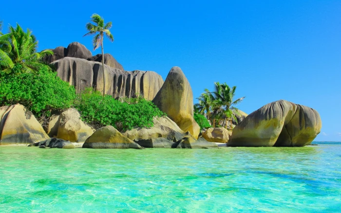 gray rock cliff beach sand palm trees stones nature landscape 2k