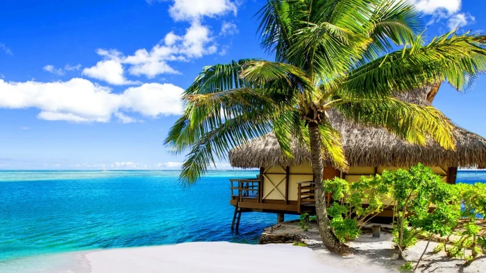 life resort beach vacation travel tropical tree summer 2k