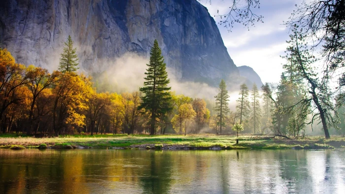 Nature morning scenery forest mountains lake mist 2k