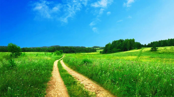 nature farming field landscape rural grass meadow countryside 2k