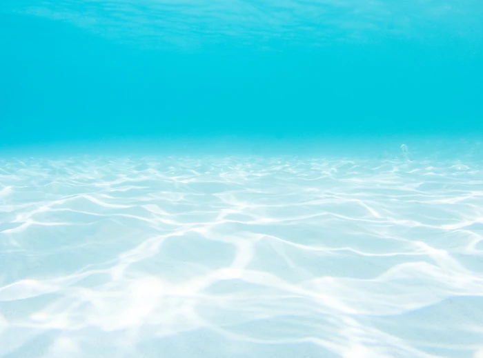 Ocean Underwater underwater photography Travel Islands Earth 2k