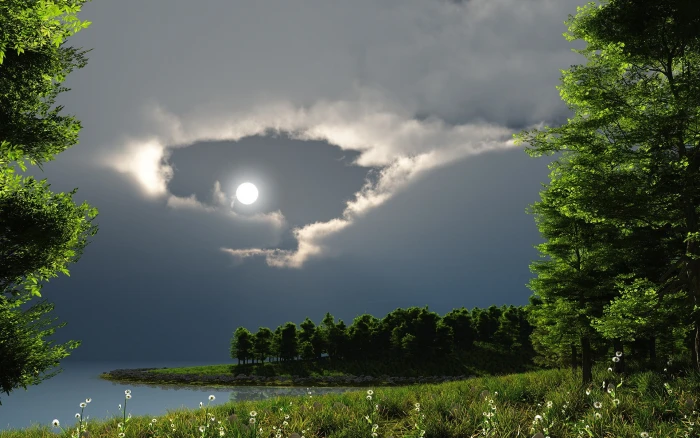 original nature background image tree plant sky 2k