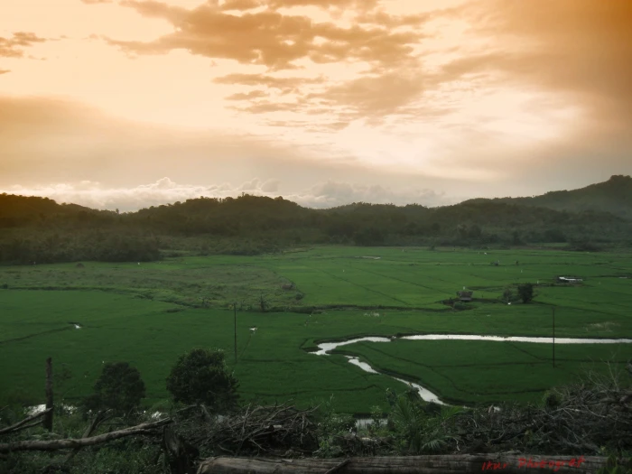 pemandangan west borneo indonesia landscape wilderness 2k