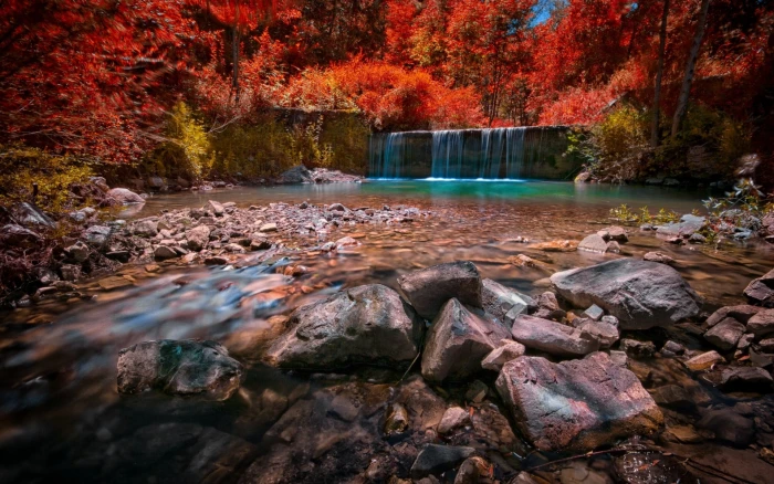 red flowering tree and waterfalls landscape nature pond forest 2k
