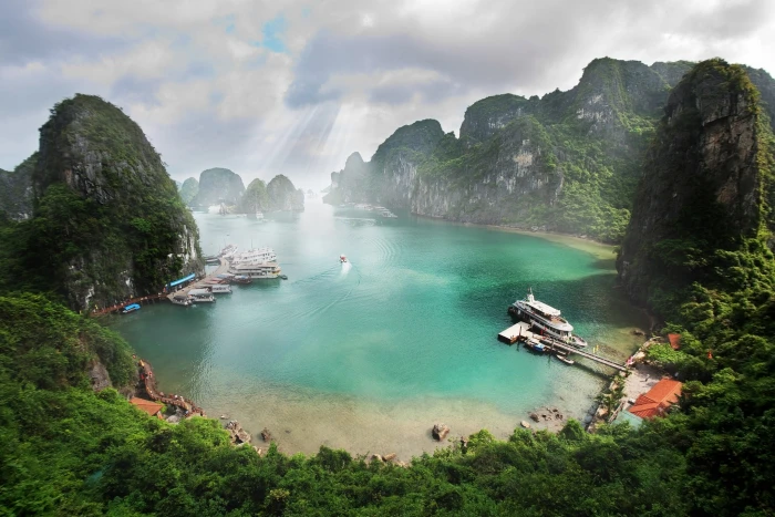 white dock nature photography landscape beach tropical forest 2k