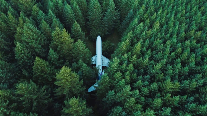 white passenger plane surrounded by green trees 2k