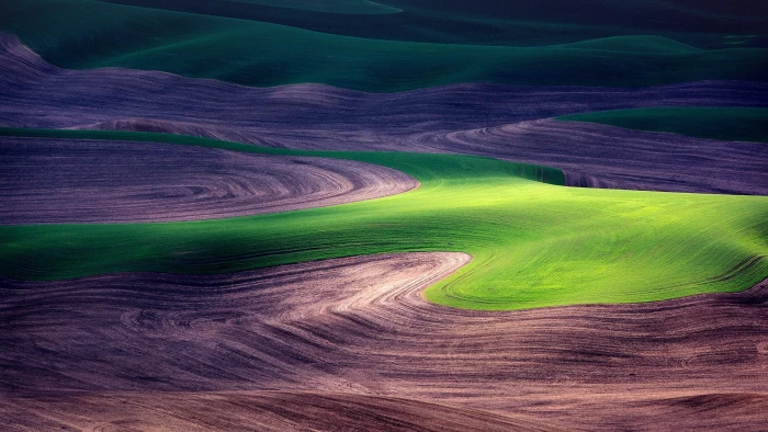 nature landscape grass farm field Palouse Washington 2k