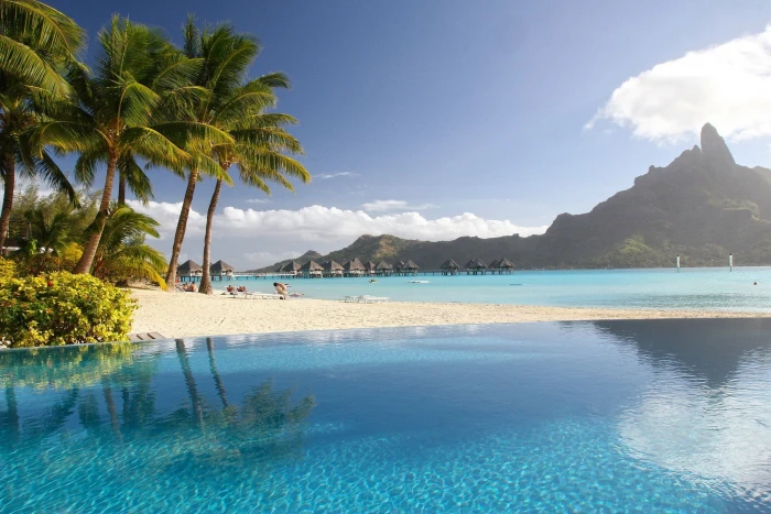 green coconut trees tropical palm landscape beach water 2k