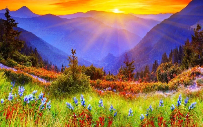 hi def nature backgrounds pictures 2k