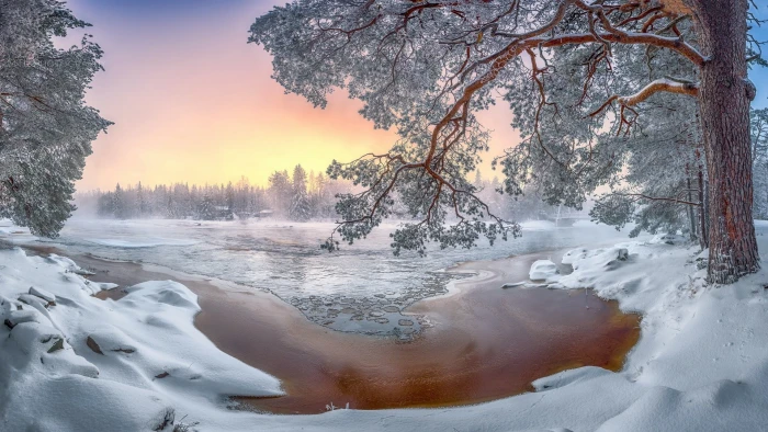 nature snow winter trees landscape cold 2k