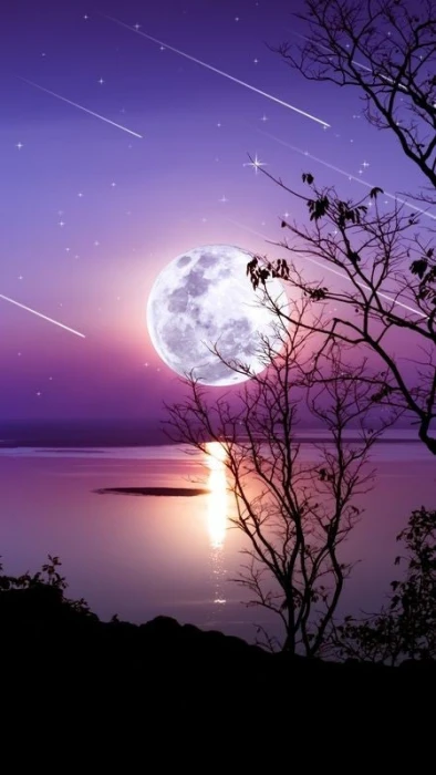 Magic night Nature