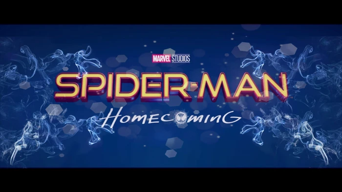 Spider Man Spiderman Noir Comic Party comics superhero