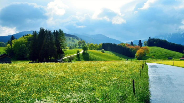Beautiful scenery roads small houses flowers forests woods green grass 2k