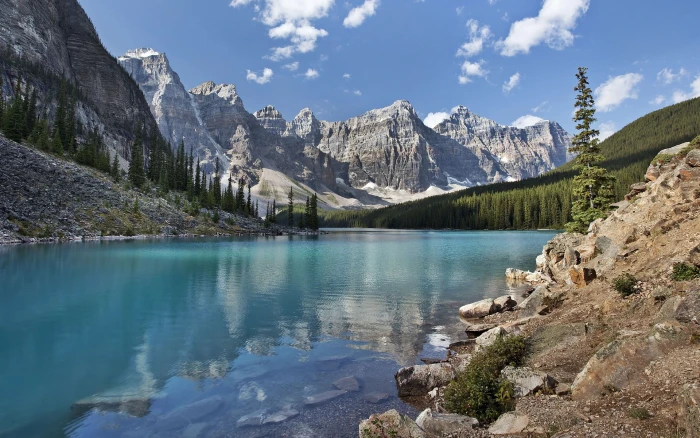 full screen nature desktop hdmi 2k