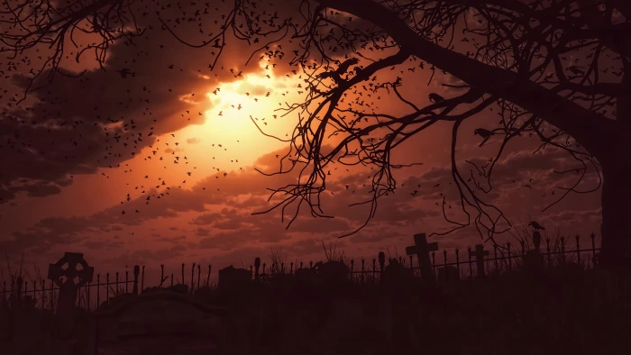 silhouette of bare tree night fan art cemetery sunset fantasy 2k 4k